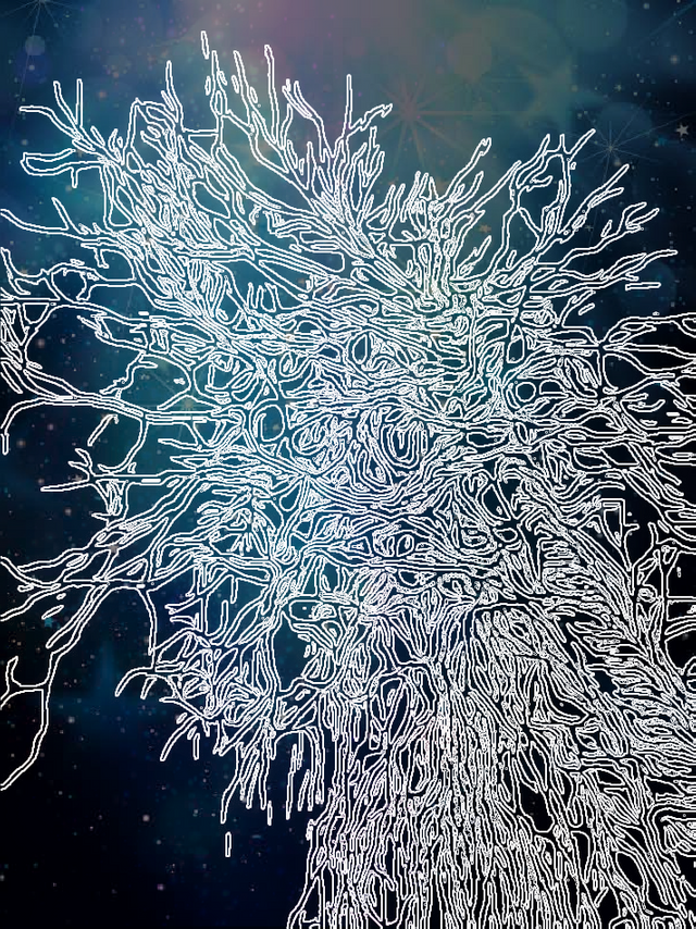 _20171201_024430_1512093356300.png