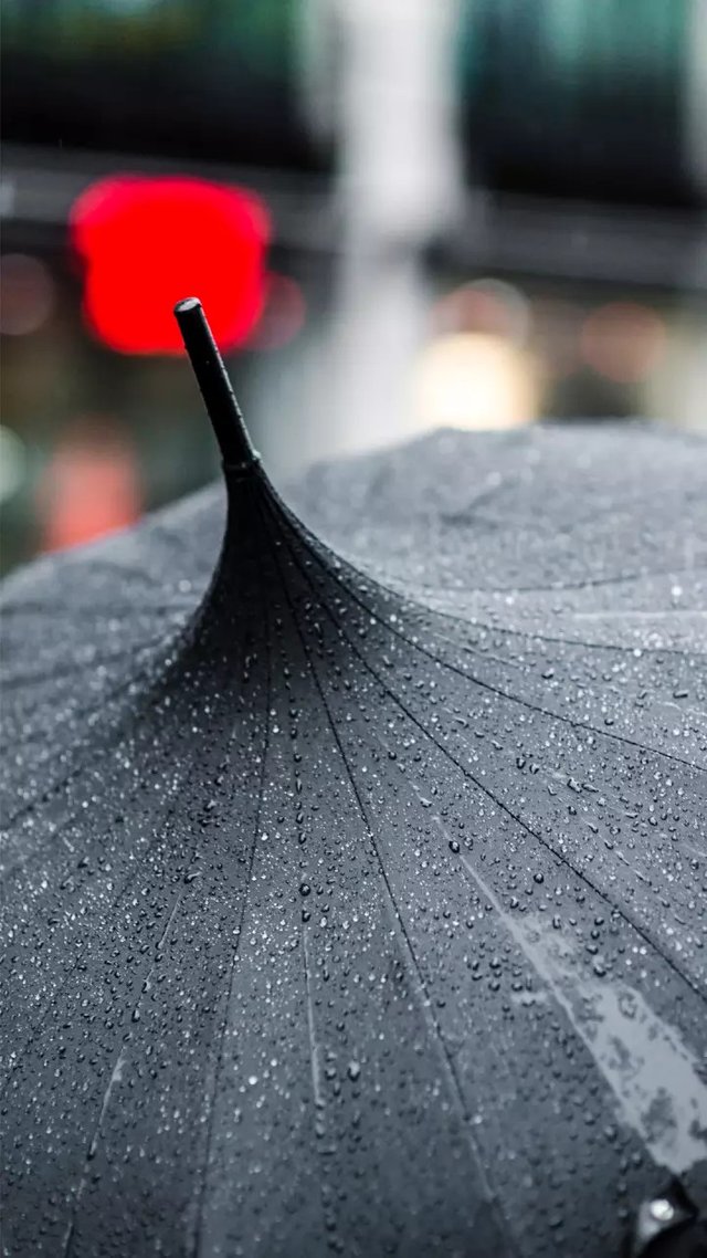 international_umbrella_&_50948e10-df81-4085-aa4c-c6cf3cc7b805.jpg