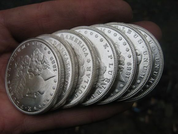 fake-morgan-dollars.jpg