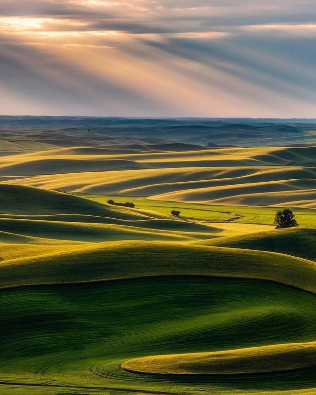 Palouse, Washington.jpg