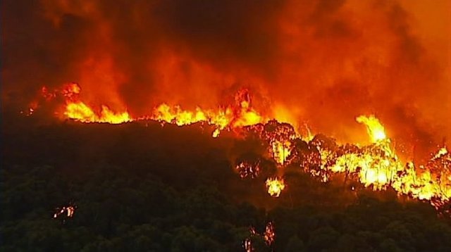 bushfire.jpg