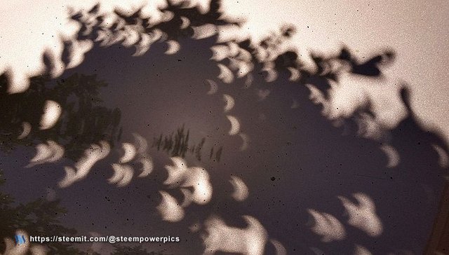 2017-Eclipse-Shadows2-SteemPowerPics.jpg