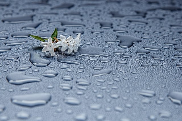 rain-drops-412465_960_720.jpg