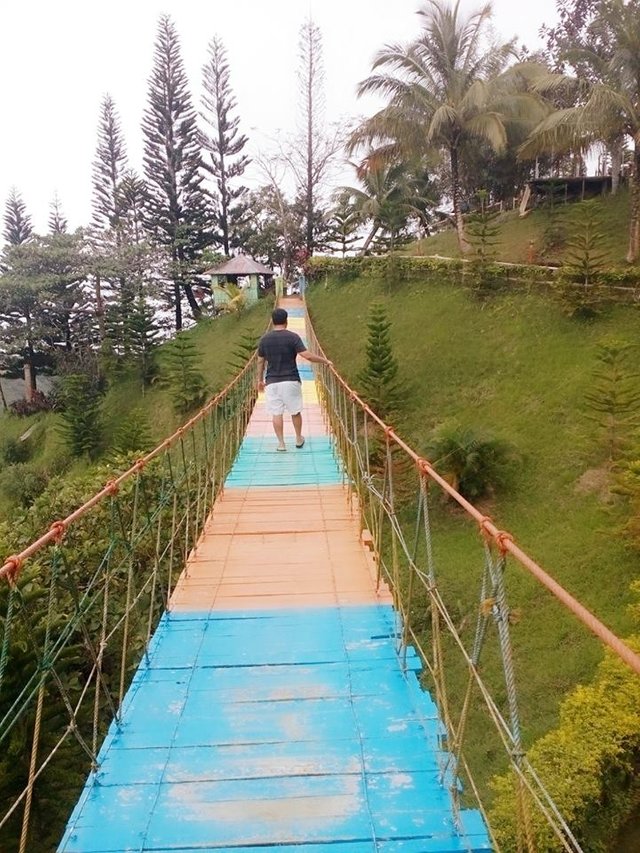 hanging bridge1.jpg