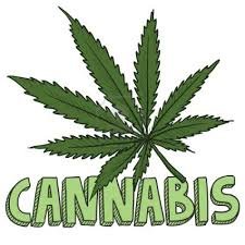 CANNABIS LOGO.jpeg