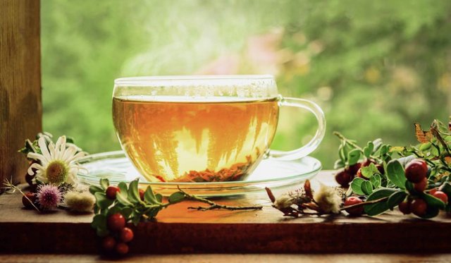 tea_shutterstock_513776611_0.jpg