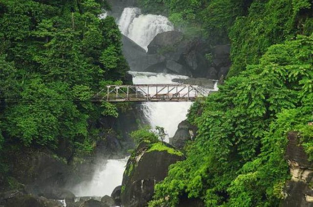511123_Panatumai3.jpg