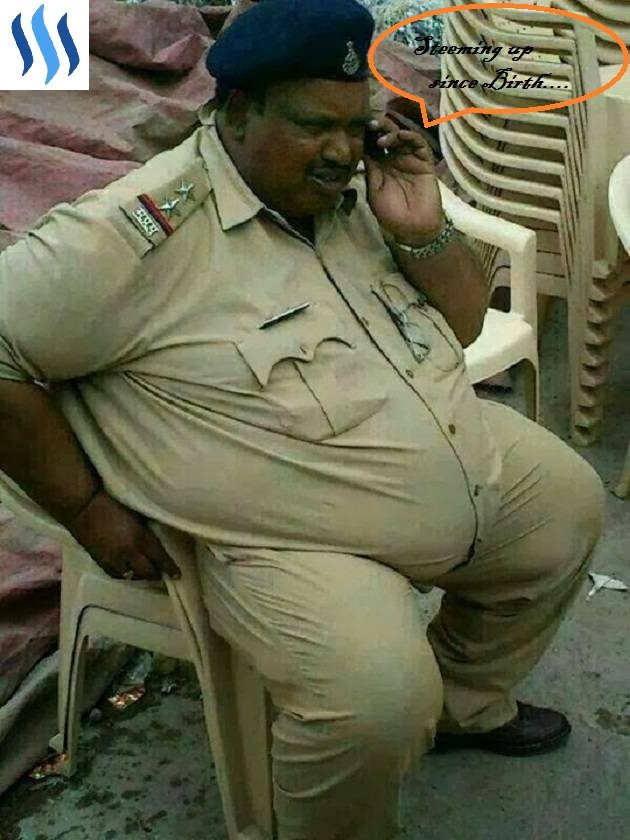 fatcop.jpg