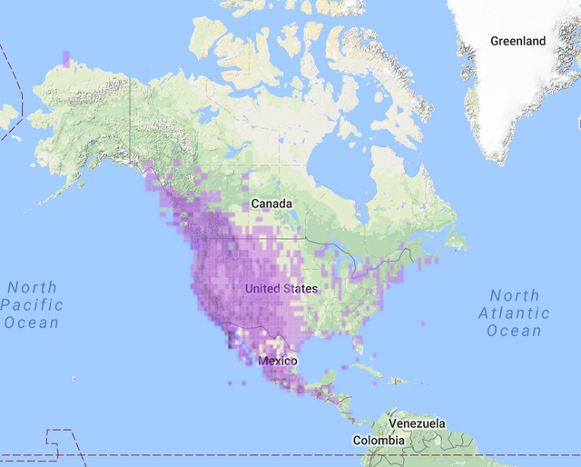 Yellow-Rumped Warbler AudRange Map.PNG