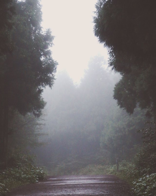 744B71FF-CCA0-4B36-AF2F-DBF9F4525676.jpeg