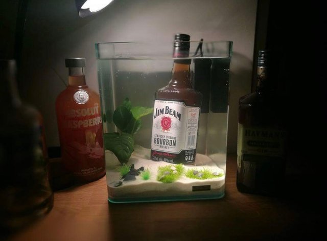 Aquascaping.jpg