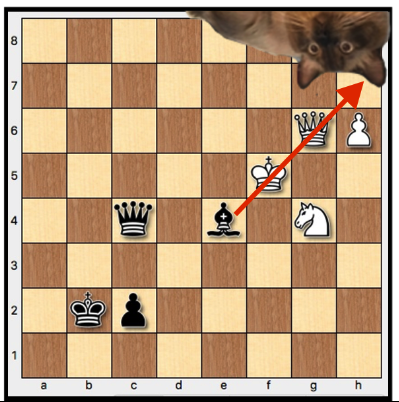 File:Chess-tactics-image skewer-attack absolute.gif - Wikipedia