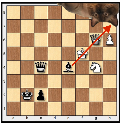 The absolute and relative Skewer, Chess Tactics