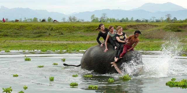 nature-wildlife-nepal.jpg