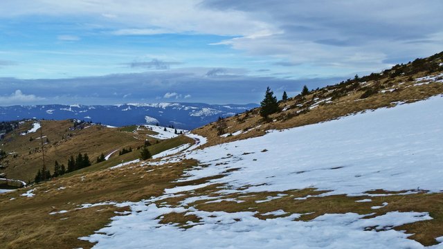 petit ballon.jpg