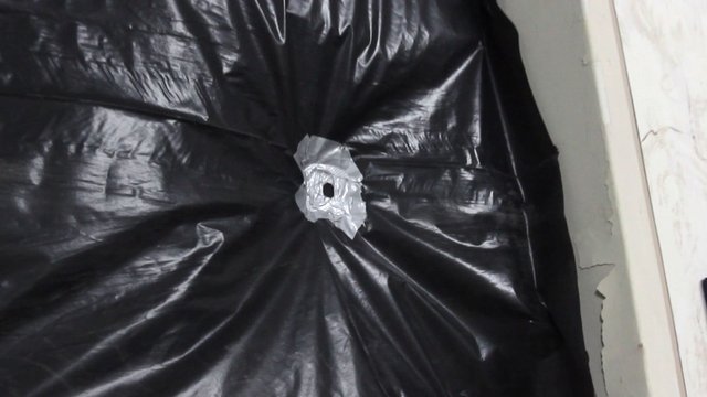 obscura rupa.jpg