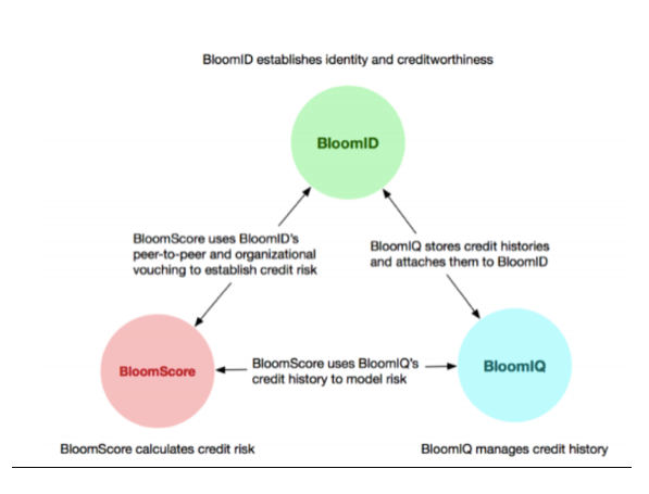 BloomID-BloomScore-BloomIQ.png