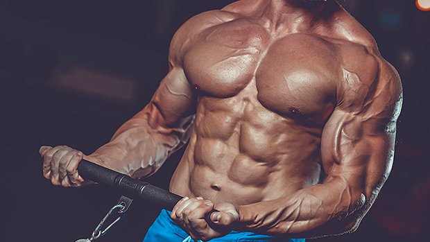 10-Rules-for-Building-Muscle-Without-Getting-Fat.jpg