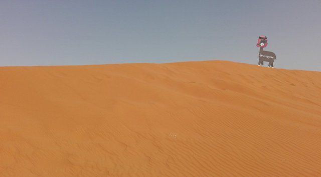 dunes.jpg