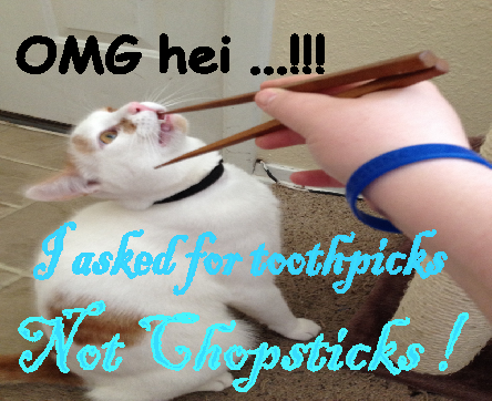 ChopsticksCat.png
