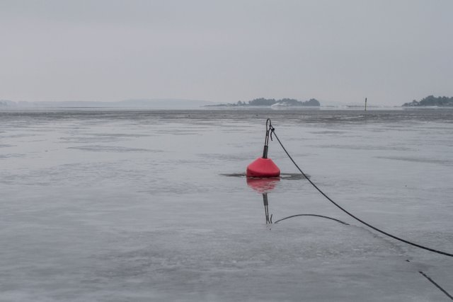 BÅT4.jpg