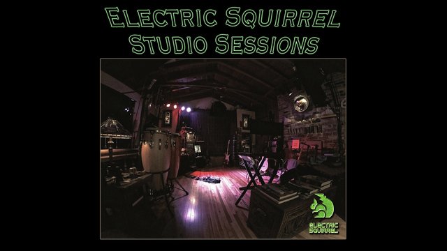 Electric Squirrel Studio 2018.jpg