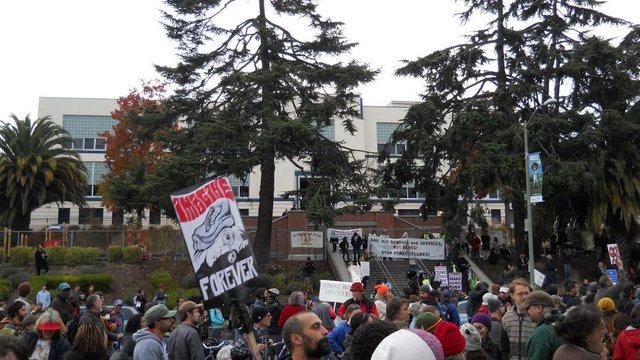 occupy nov 20 the school.jpg