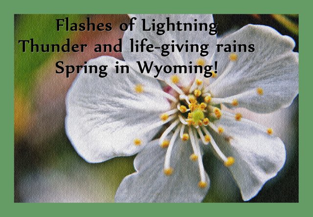 spring_in_wyoming.JPG