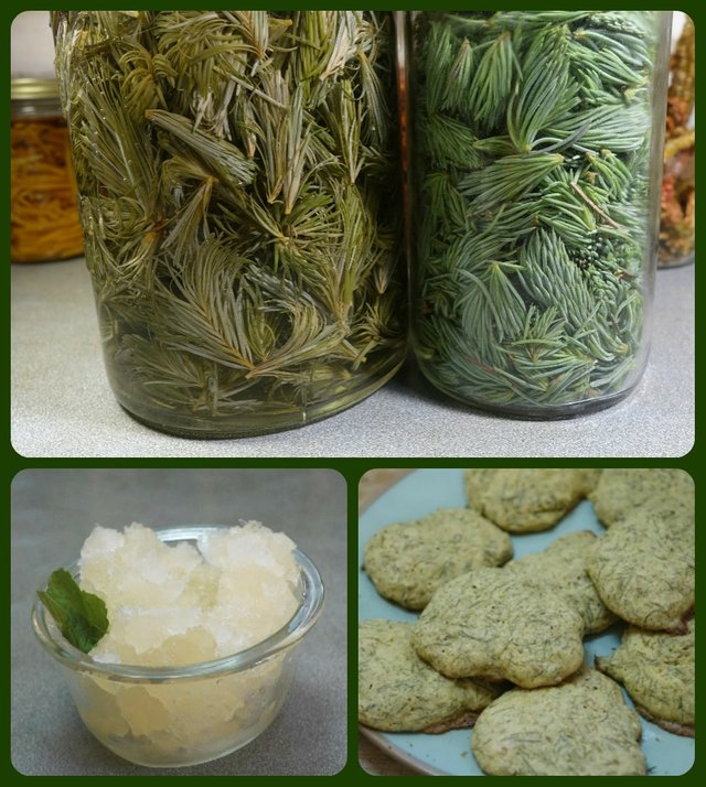 spruce tips soaked foods WEB.jpg