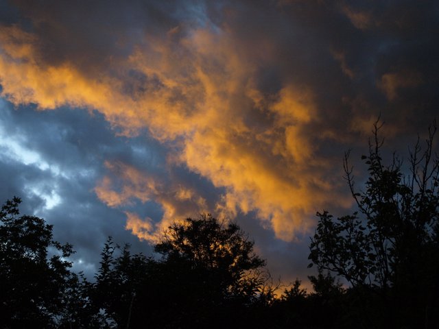 _6173512.JPG