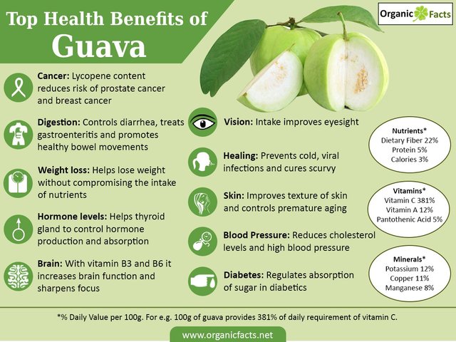 guava_1.jpg