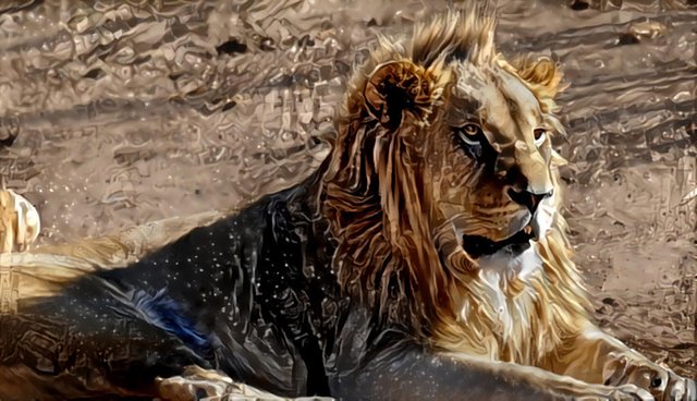 Lion-DeepDream6.jpg