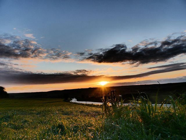 P1050156.JPG