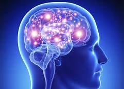 brain new .jpg