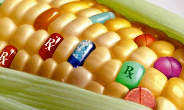 10-GMO-Foods-People-in-the-U.S.-Already-Consume.jpg