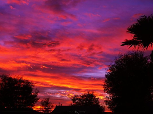 ChemtrailsAtSunset02.jpg