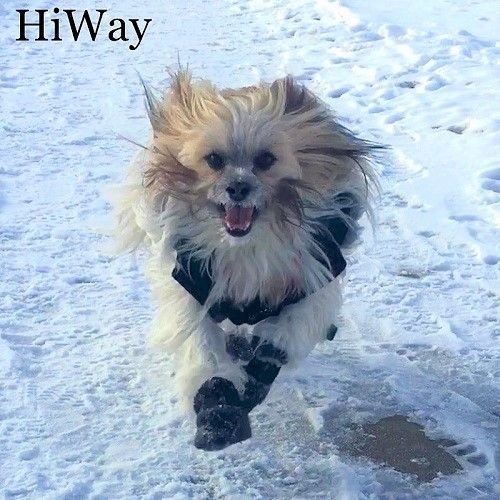 hiwaySnow2016500x500.JPG