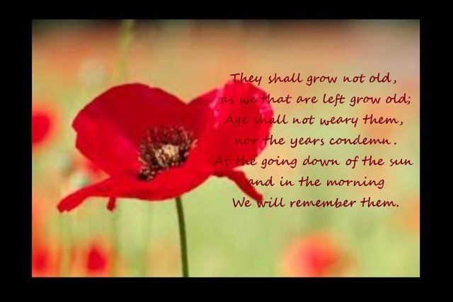 We-Will-Remember-Them-On-Remembrance-Day.jpg