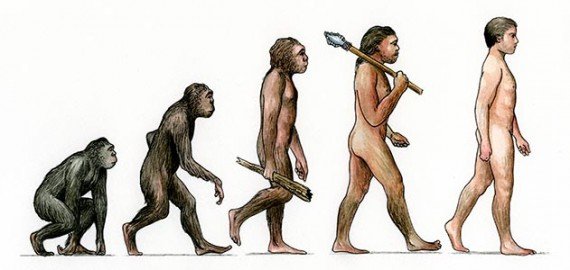 Evolution-570x270.jpg