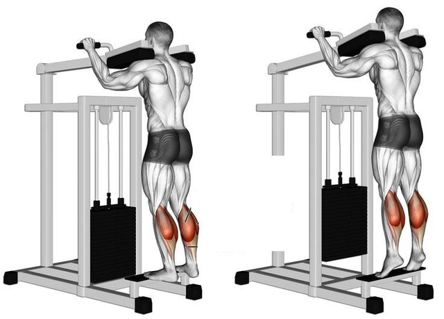 7379550a9430dfe0938b30c81f7c41f9--calf-raises-workout-guide.jpg