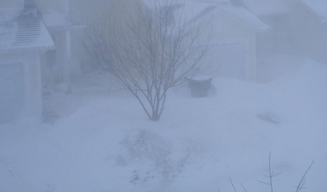 blizzard03.jpg