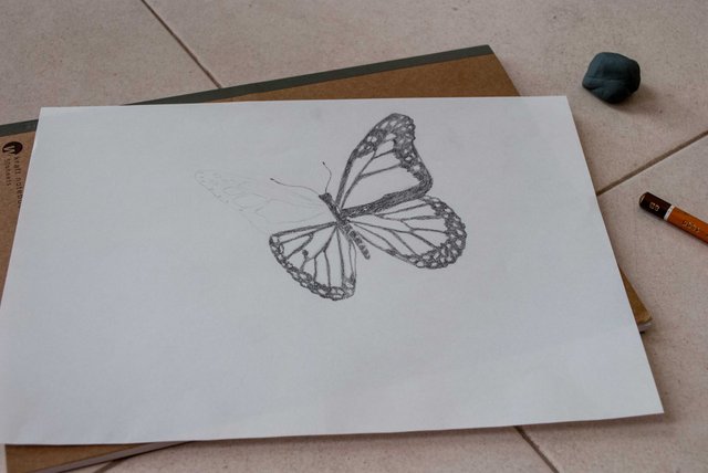 Download Butterfly Drawing In 3d Step By Step Steemit