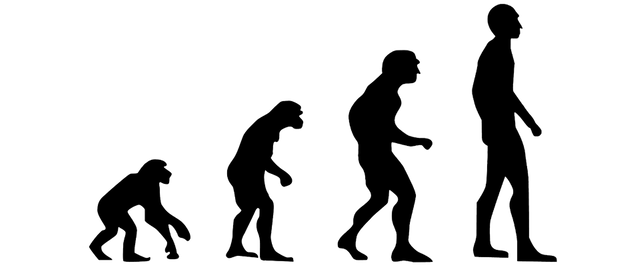 evolution-2780651_960_720.png