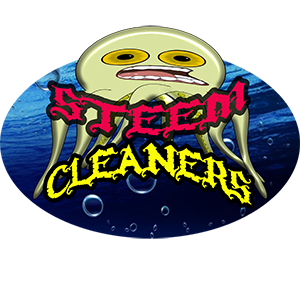 SteemCleaners.png