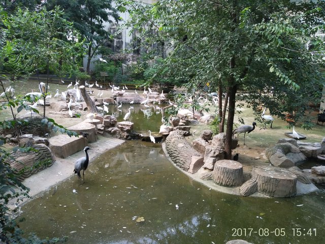IMG_20170805_154143.jpg