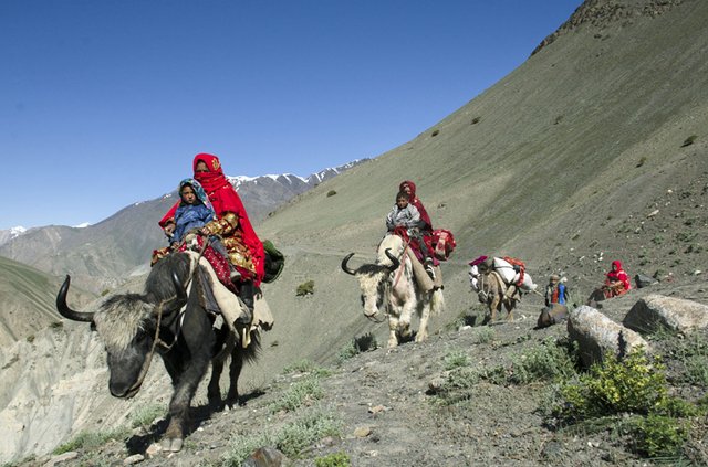 1200-wakhan-07.jpg