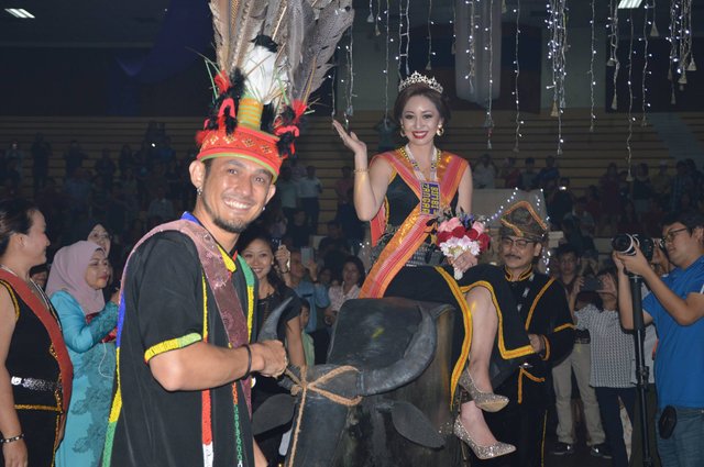 Rian the groom ushered his bride by pulling the replica of buffalo into the hall.jpg