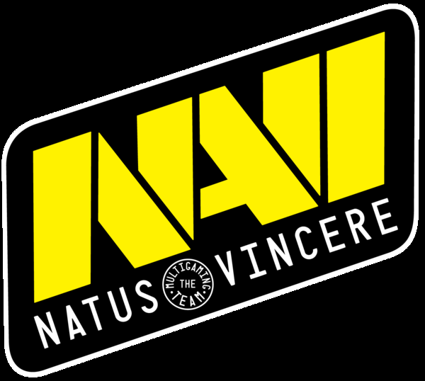 CSGO skins_Natus Vincere_playerauctions.png