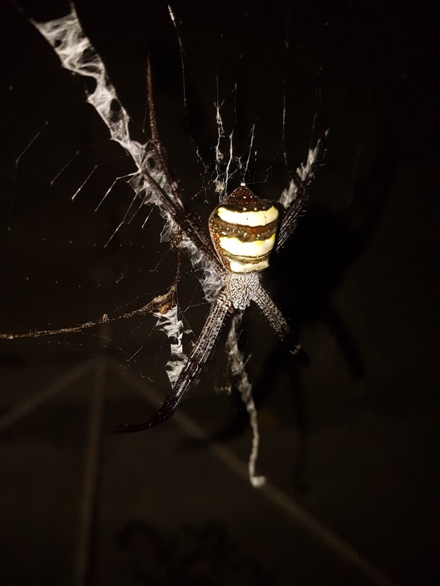 20171005_172201.jpg