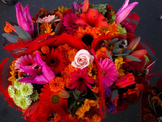 Coronado Farmers Market Flowers.jpg